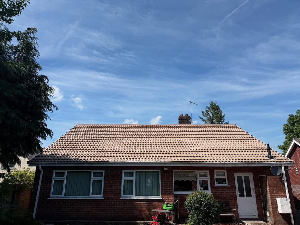 After professional cleaning