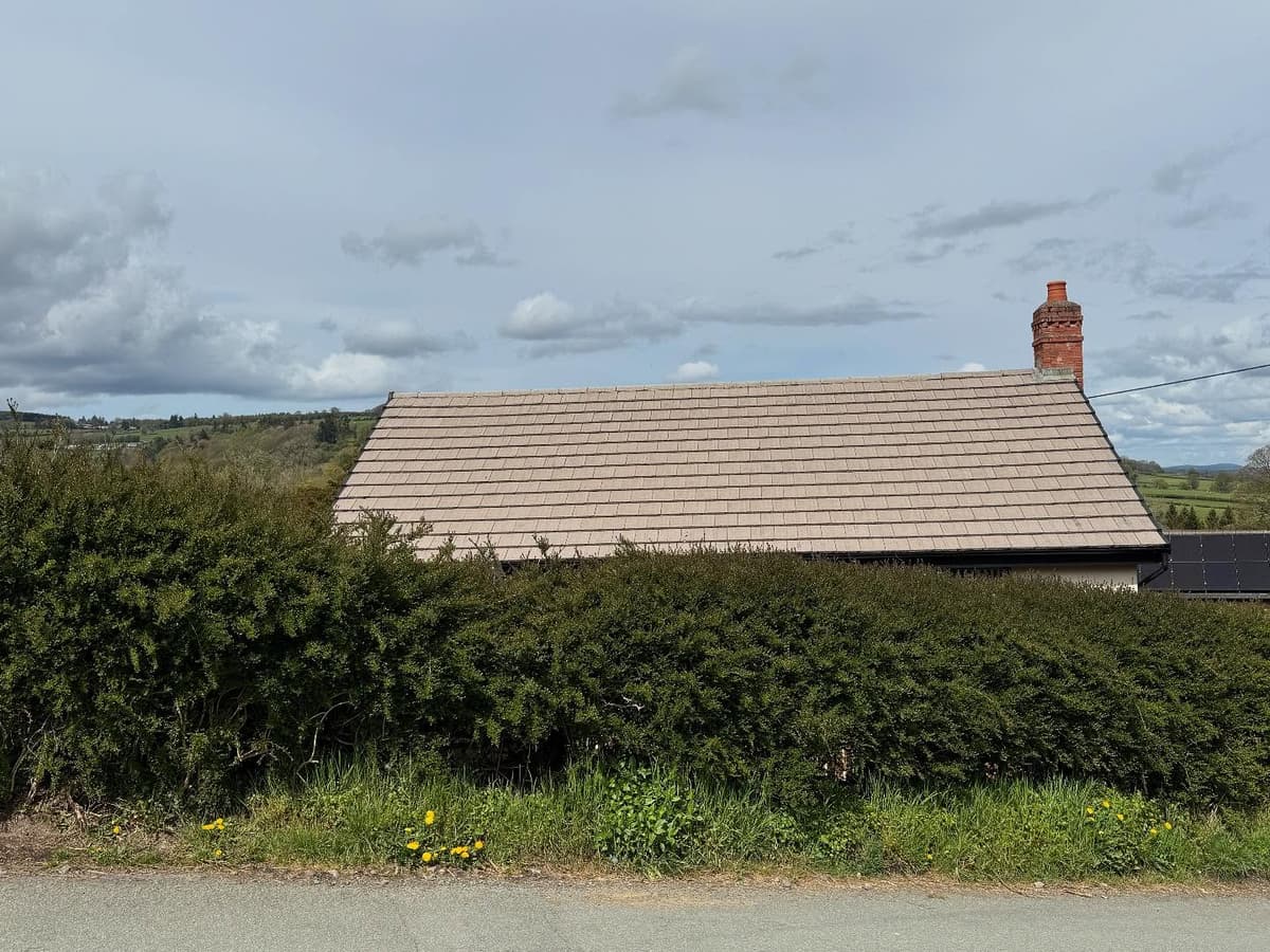 After professional cleaning - Project 7