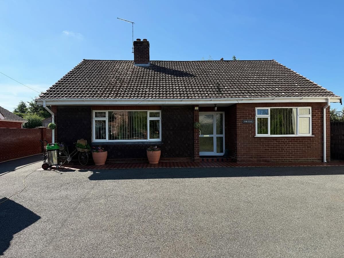 Before professional cleaning