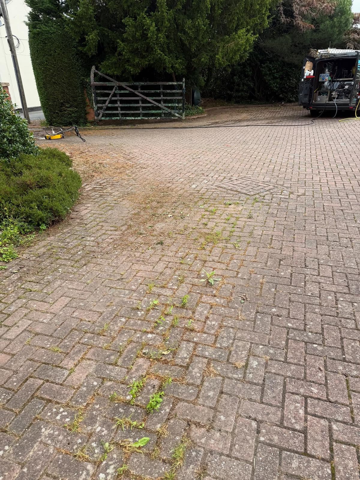 Before cleaning - Project 4