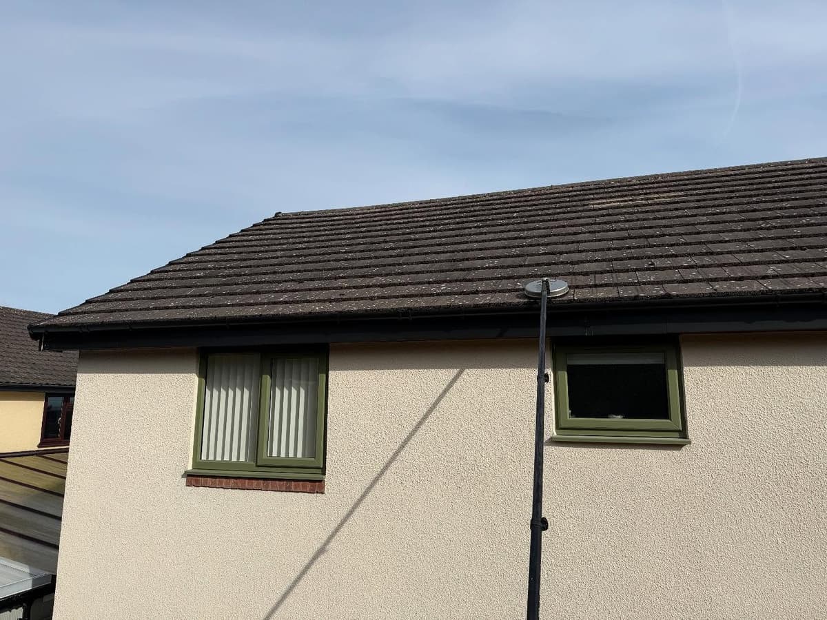 Before cleaning - Project 7